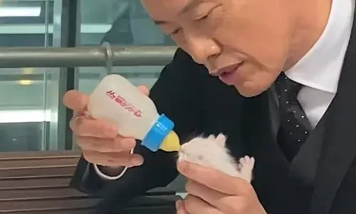 遠藤憲一の子供の噂を総まとめ！家族と愛犬との温かい生活！